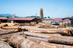 BIJAK JAGA PRODUKTIVITAS SUMUR LEWAT PRODUCTION LOGGING